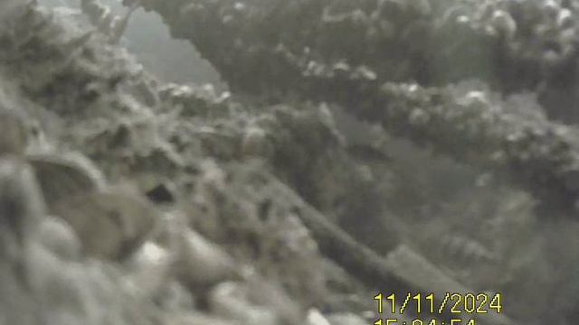 1000031849.mp4Волга гл.4м.11.10.2024г.