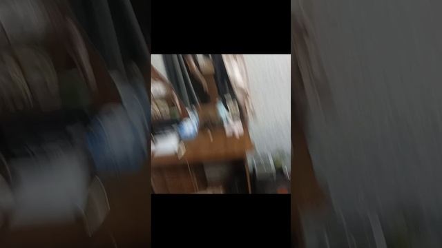 scene_output.mp4