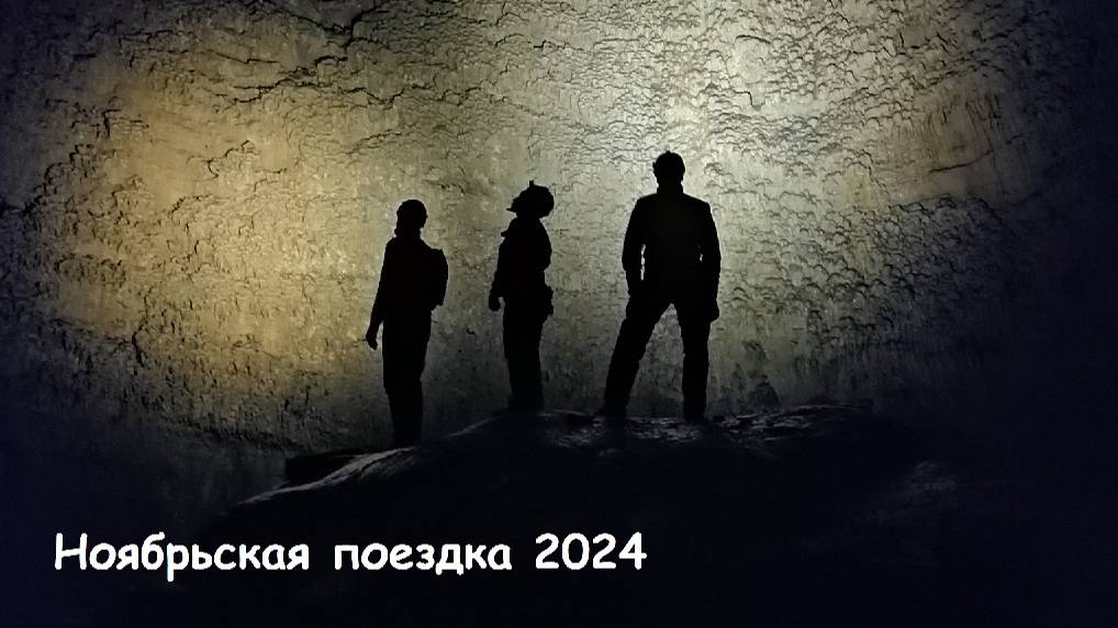 11 ноябрьская 2024