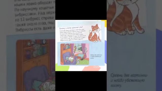 100 детских Почему