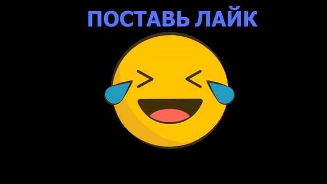 Смешная собака барабака!#shorts
