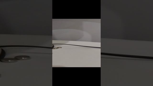 Багира!!!