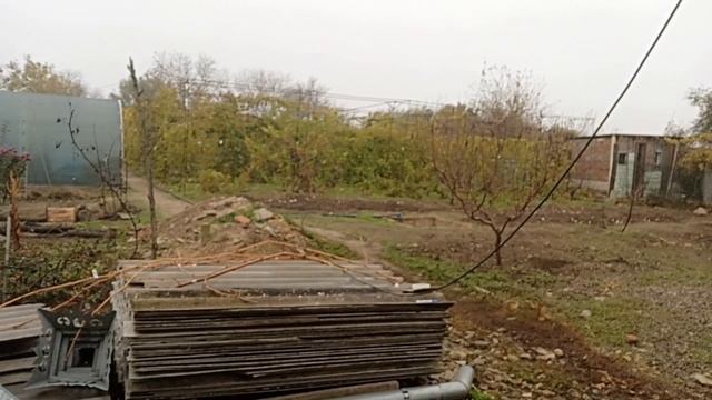 Волшебные палочки/Винограда много не бывает/Погода кАзëл.