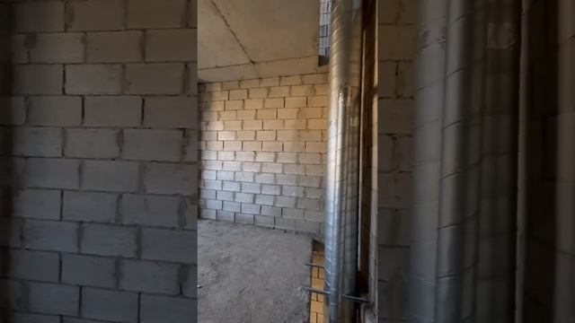 77146632 Налоева F