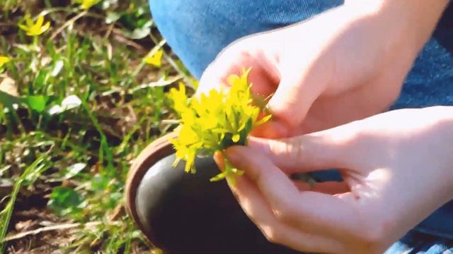 А твоего солнца хватит на десять Африк☼