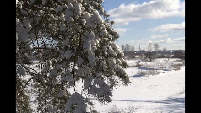 Белым мелом ляжет снег ( песня Андрея Шепелева)