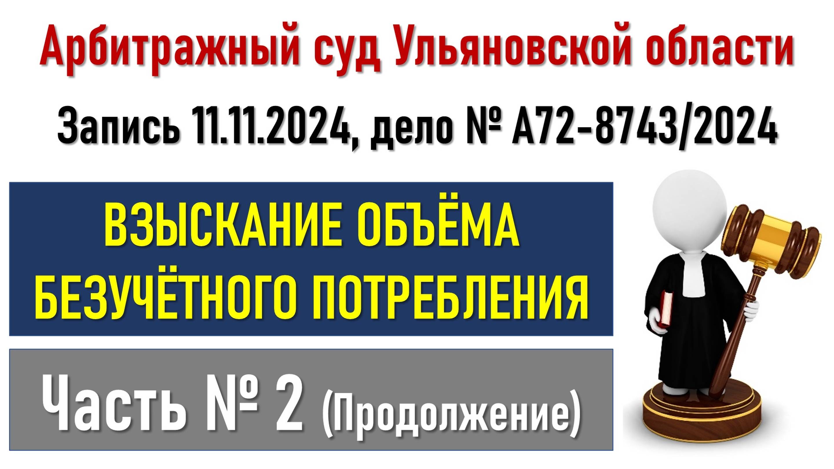 Заседание в Арбитражном суде Ульяновской области (Часть 2)