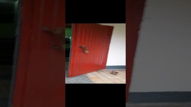 Москва, ул. Айвазовского, 5к1, Авито студия 22м