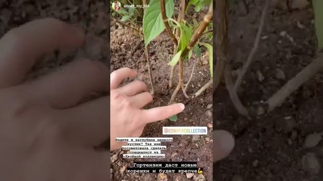 Отзыв от Назаровой Анны