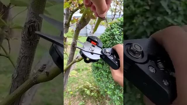Прививочный инструмент