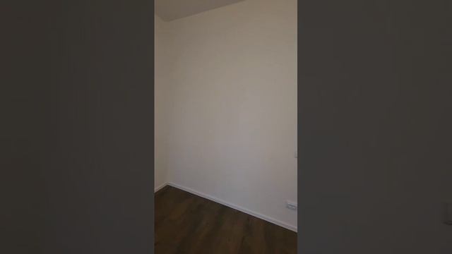 WhatsApp Video 2024-11-11 at 19.20.19