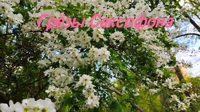 Музыка Весны и Надежды! The Music of Spring and Hope!