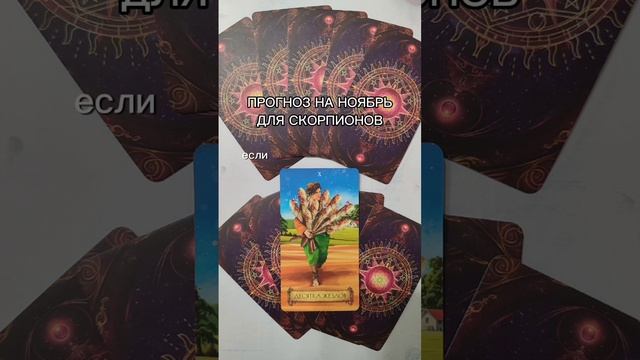 Карта дня на 11.11. Связь со мной https://vk.com/elenapomocsh #таро #таролог #эзотерика #тароонлайн