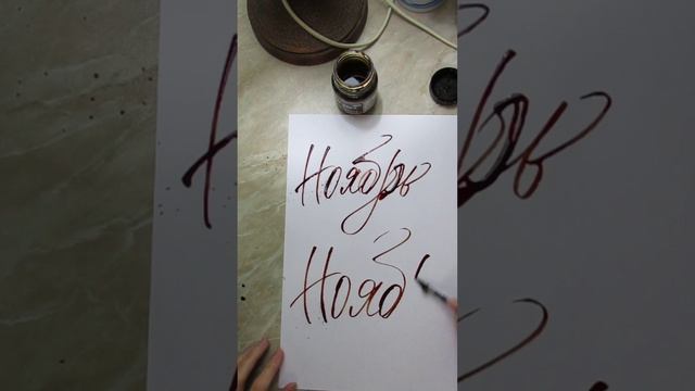 Каллиграфия рейсфедером - Ноябрь #каллиграфия #colapen #calligraphy #леттеринг #calligraphy #инктобе