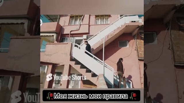 лащуро видио
