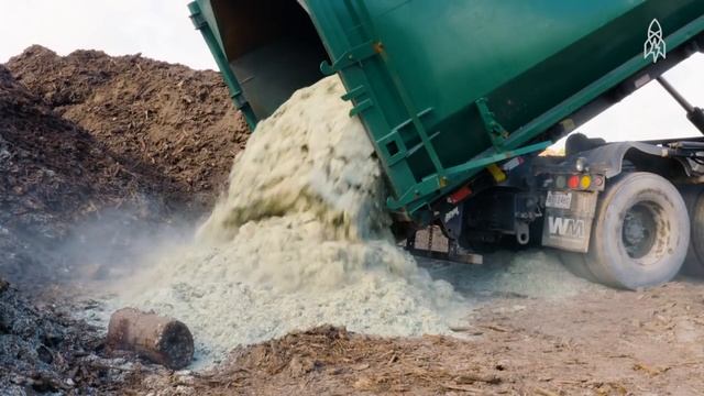 Where Dollars Are Reborn