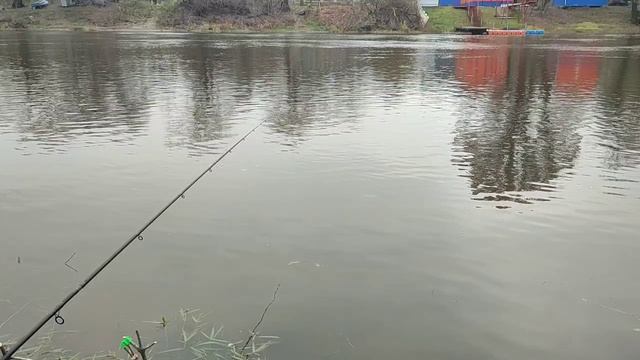 НОВОЕ МЕСТО 1-й день, 9 ноября.
