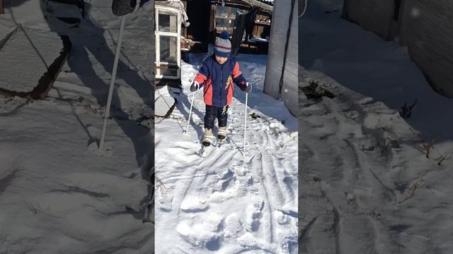 Да здравствует Зима!