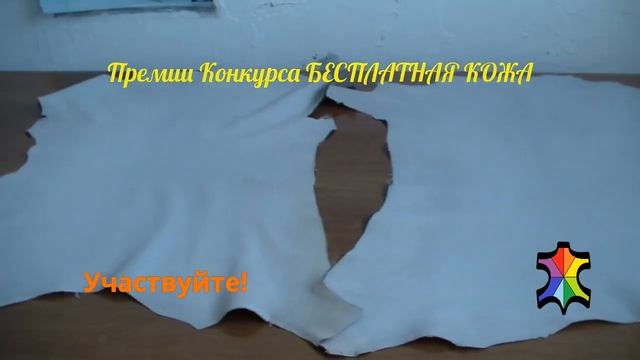 Премии конкурса БЕСПЛАТНАЯ КОЖА - ЧИВИТАНОВА из 8 Ноября 2024