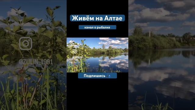 20 июля 2024 г.