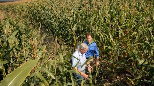 NCH Capital Inc. Agribusiness Story