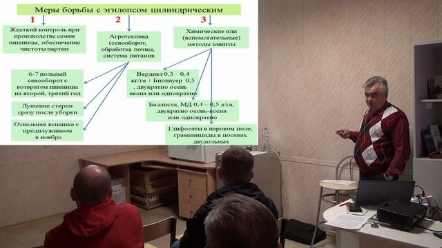НКС-Агро. Что такое агросопровождение примеры результаты. Часть 3. Эгилопс цилиндрический.