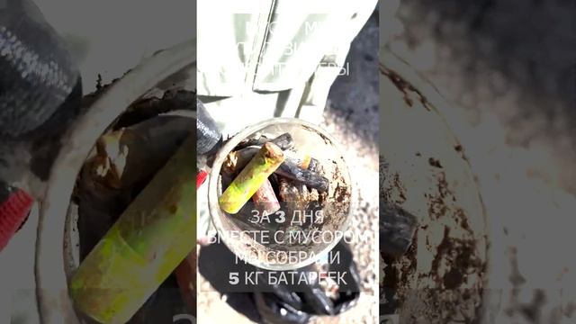 Собрали 5 кг батареек