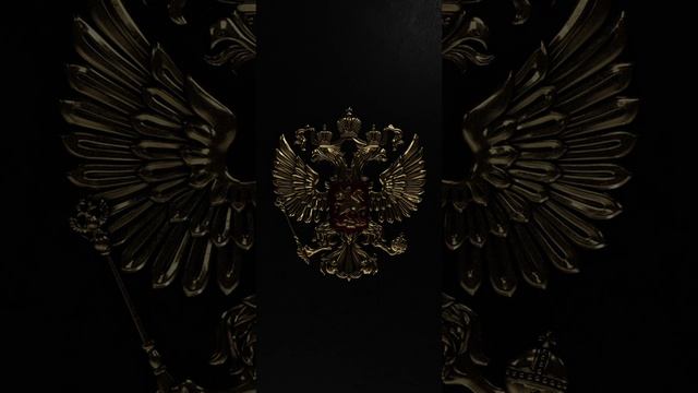 1952_video_720x1520_1731219781.mp4