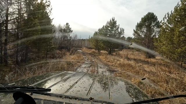 В поисках "литовской" узкоколейки