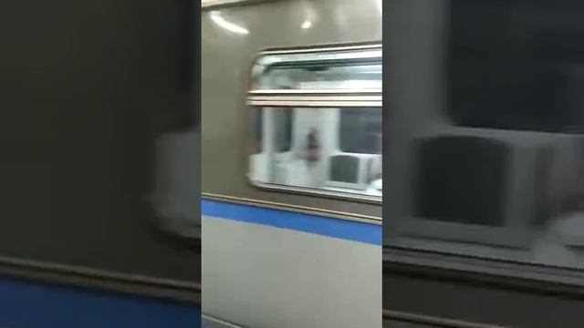 Тематический поезд Шахматы Русич на Преображенской площаде/// 7 Июля Прислала Татьяна