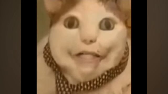 бу испугался не бойся
