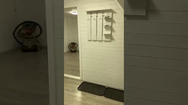 48c45802-9dea-4b4d-8d64-753250272b06