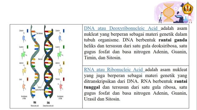 Biokimia Kelas A Fakultas Peternakan Unpad_Rosa Wijayanti
