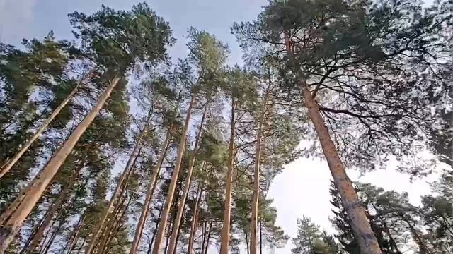 Эксклюзивное предложение!
