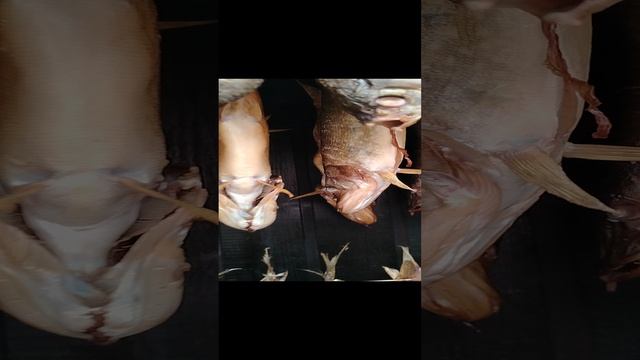 Коптим Астраханский улов