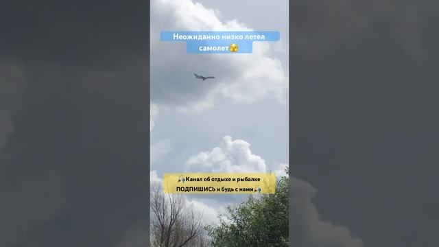 На бреющем полёте