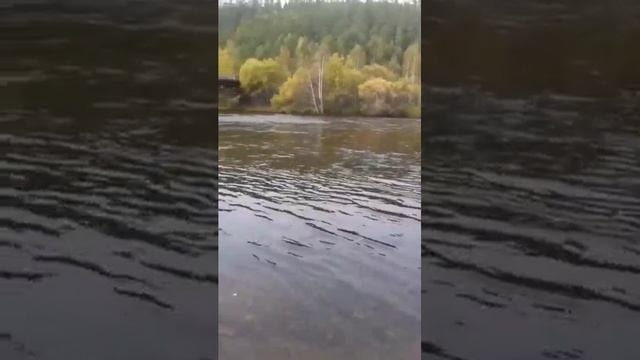 Озеро Байкал. Своим ходом.