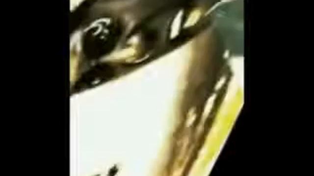 THIS IS SPARTA! REMIX!