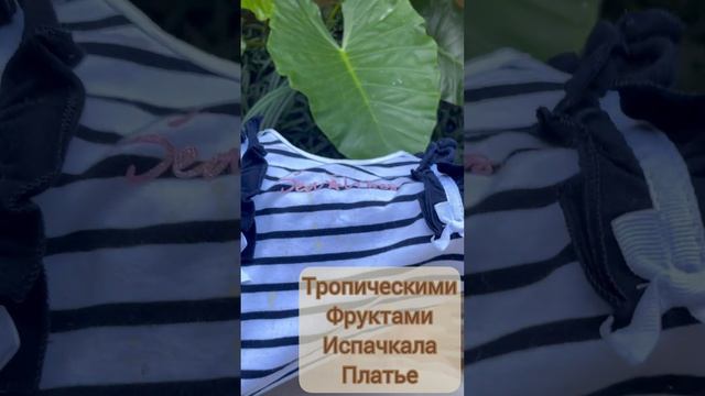Лучший пятновыводитель