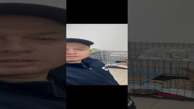 Завтрак Малышам