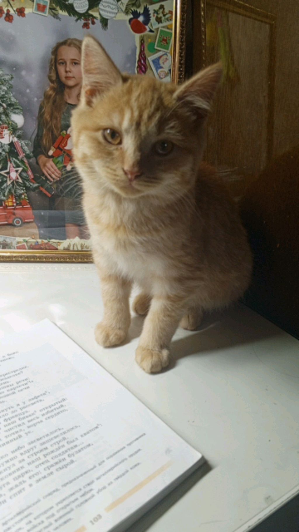 Котэ