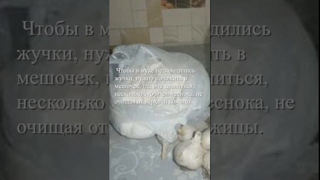 Чтобы не заводились жучки