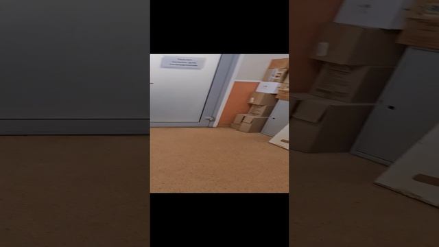 20241108_091958