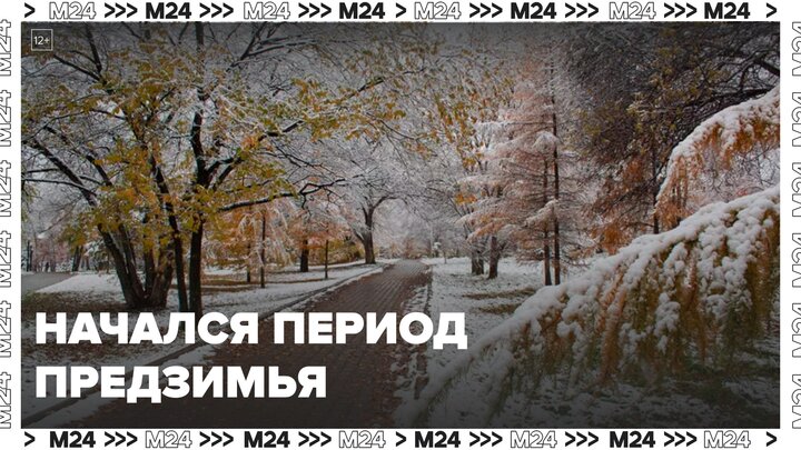 Период предзимья начался в Москве - Москва 24