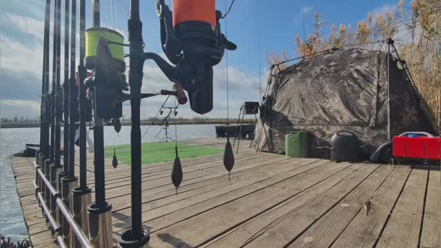 video_2024-11-11_11-22-52