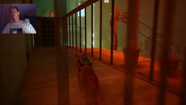 ПОЗНАКОМИЛСЯ С РОБОТАМИ ✖ STRAY #2