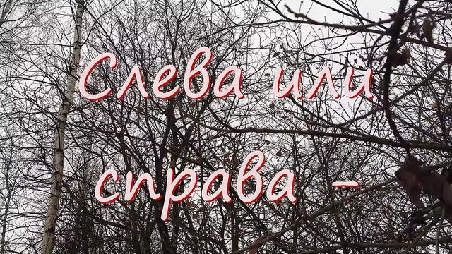 Про ворону. Стихи и видеомонтаж мои. Музыка Андрея Морсина