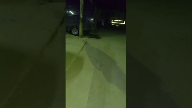 VID-20241108-WA0076