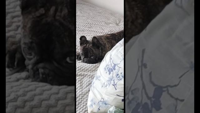 Главный по пульту