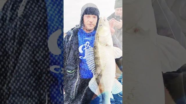 Судак на первом забросе